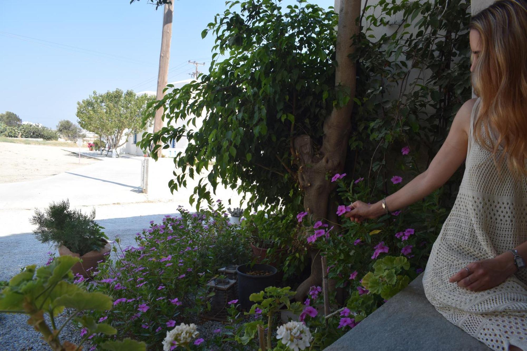 Birbas Hotel Agia Anna  Room photo